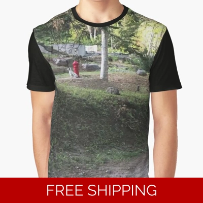 Le Studio Graphic T-Shirt Front yard 2019